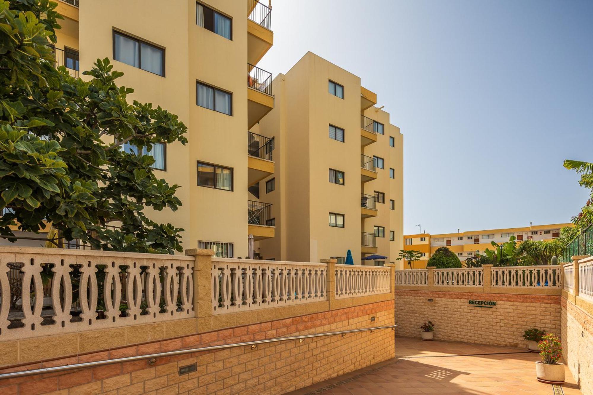 Los Ficus Playa del Inglés Exteriér fotografie